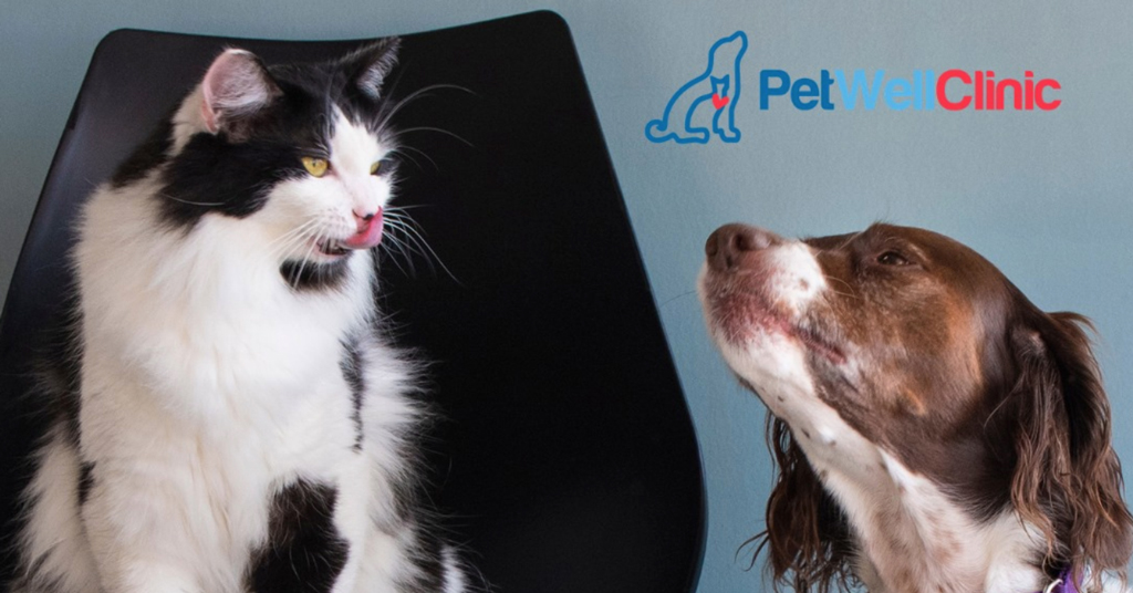 Upstart Brand PetWellClinic Offers Pet Owners On-Demand Affordable Veterinarian Services 