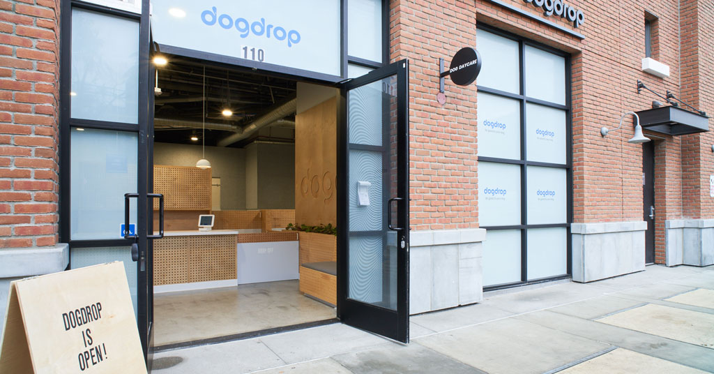 Dogdrop Shines as Unique Franchise for the Future
