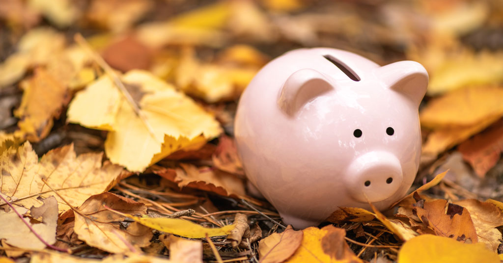 Autumn and Franchise Development Are in the Air!