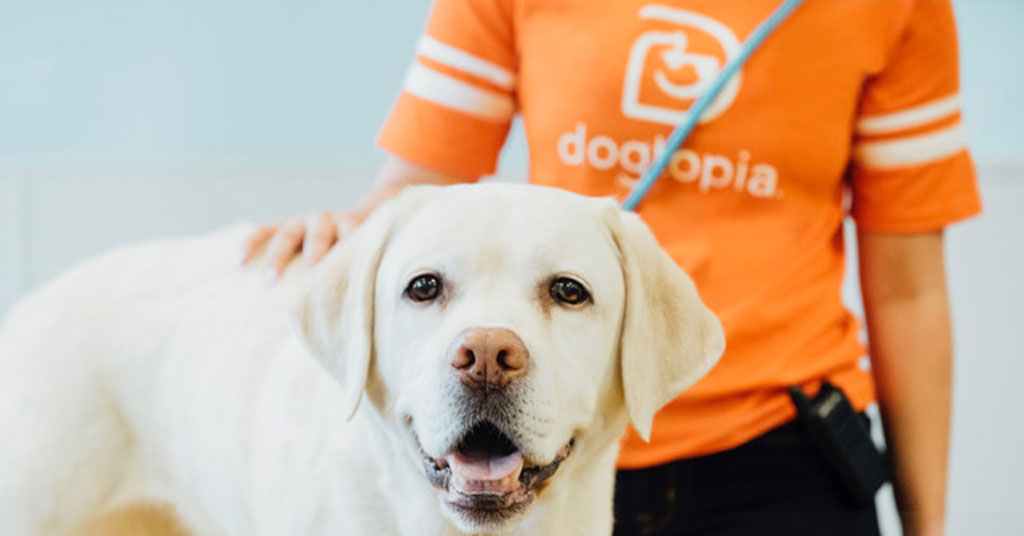 Orangetheory Fitness Multi-Unit Operator Signs 4-Unit Deal with Dogtopia