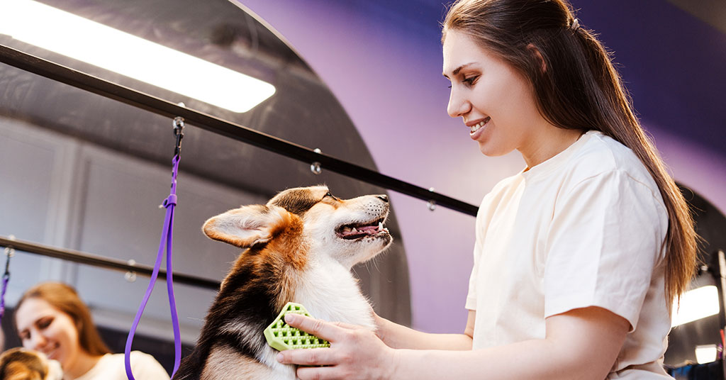 Growing Number of Franchise Opportunities in the Pet Care Industry