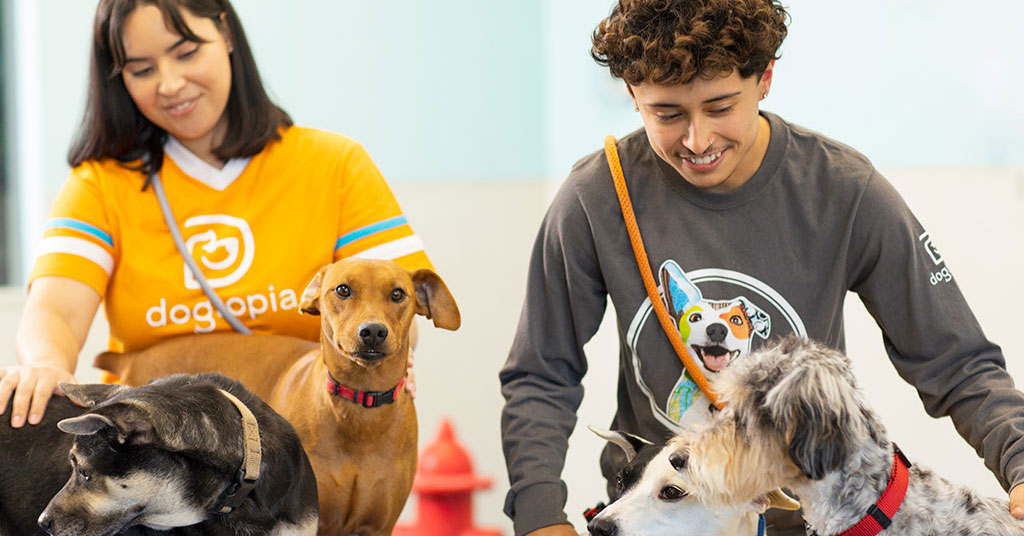 Cugines To Develop Dogtopia Units in Tri-State Region
