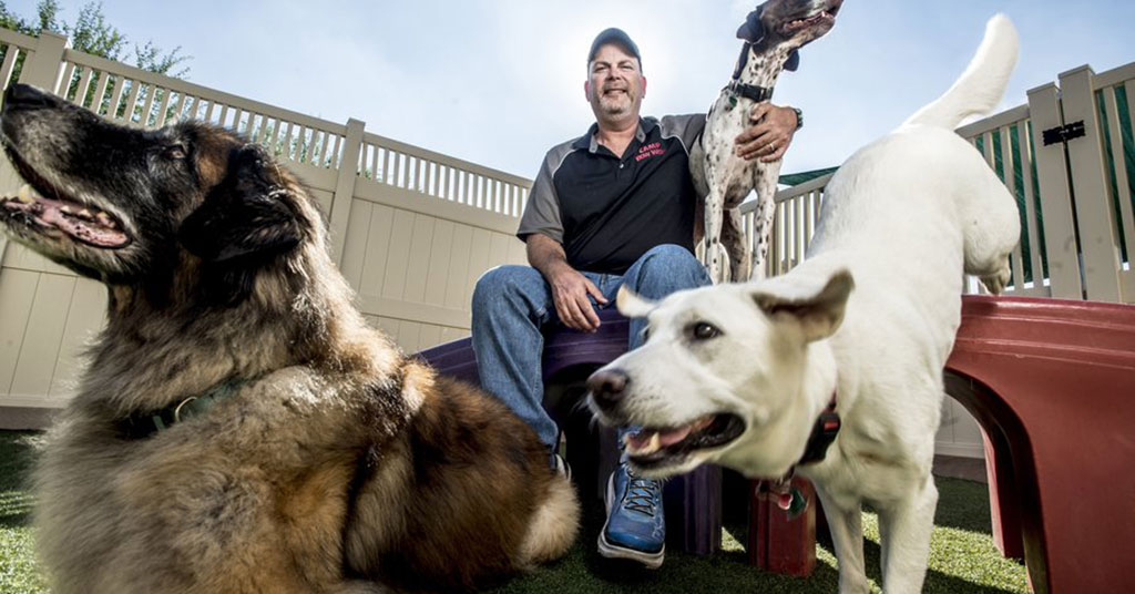 Veterans Day Spotlight with Camp Bow Wow Multi-Unit Franchisee Frank Wetegrove