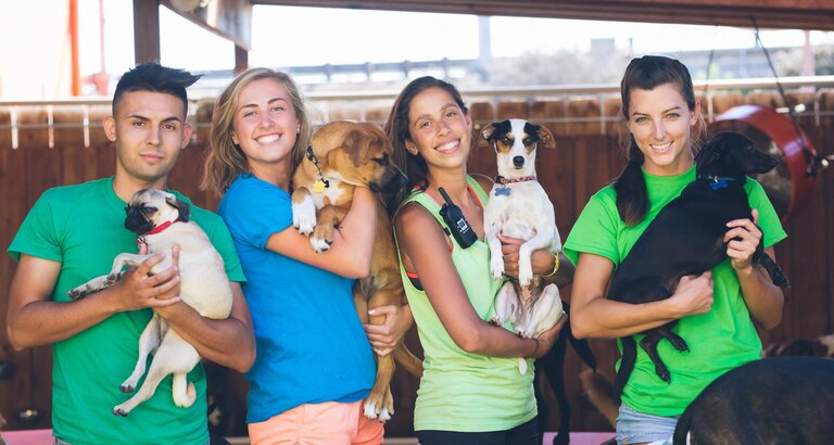 Camp Run-A-Mutt