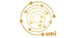 UMI Marketing Solutions