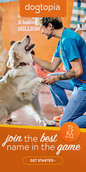Dogtopia